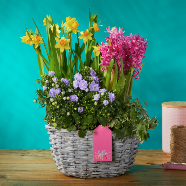 Joyful Spring Basket